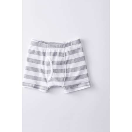 Boxer Briefs In Organic Cotton thumb