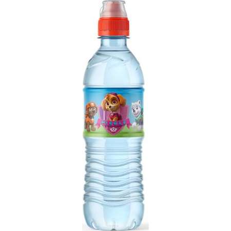 Paw Patrol Water Bottle Labels, Paw Patrol Labels girls and boy, stickers , Bottle Labels, Bottle Stickers, Labels, Paw Patrol, Ryder thumb