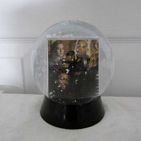 Veronica Mars Snow Globe DIY TV Show (Season 3) 6 thumb