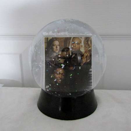 Veronica Mars Snow Globe DIY TV Show (Season 3) 6 thumb