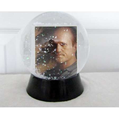 Veronica Mars Snow Globe DIY TV Show (Season 3) 11 thumb
