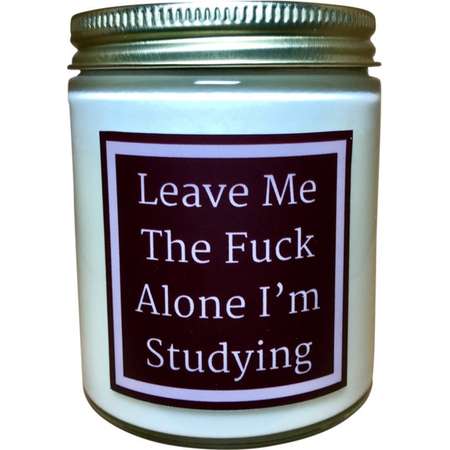Leave Me The Fuck Alone I'm Studying thumb