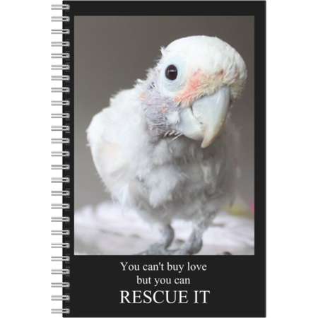 Cockatoo Notebook, Parrot Notebook, Cockatoo Stationary, Cockatoo book, Parrot Journal, Cute Cockatoo, Cockatoo Coco, Lucky Coco, Cute bird thumb