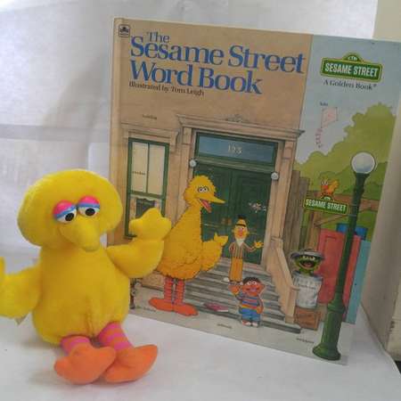 Sesame Street Word Book Hardcover – September 15, 1983 by Golden Books (Author) W plush Big Bird thumb