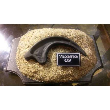 Velociraptor claw inspired by jurassic park thumb