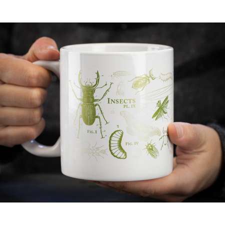 Entomology Large Coffee Mug, Insect Mega Mug, Oversized Bug Mug, Teacher Gift, Gardener Gift, Biology Gift, Botanical, Hercules beetle thumb