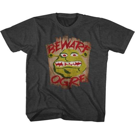 Shrek Movie Beware Royal Heather Toddler Little Boys T-Shirt Tee thumb