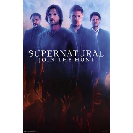Supernatural - Demons Poster - 22x34 thumb