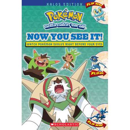 Now You See It! Kalos Edition (Pokemon) thumb