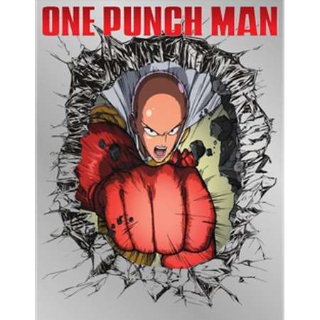 One Punch Man (Blu-ray) thumb