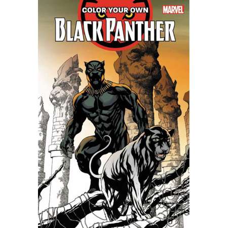 Color Your Own Black Panther thumb